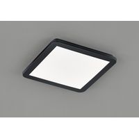 Plafonnier Camillus Carré Led Dimmable Noir IP44 30x30 cm Trio Lighting