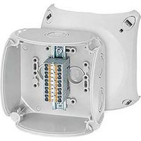 Hensel 62000293 caja de derivación gris IP66/IP67