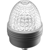 RAFI 1.69.010.005/0000 Voyant lumineux incolore 1 pc(s) V308533