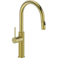Sapho - Spültischarmatur, mit ausziehbarer Brause, Gold matt FR576GB