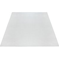 FLOORNOVO Hochflor Teppich Beige einfarbig - 200 x 140 cm - Besonders Weicher Teppich Wohnzimmer & Badezimmerteppich - Pflegeleicht - vielseitig einsetzbar im Innenbereich