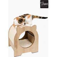 Catiit Vesper Minou