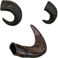 Corne de buffle pour chien Désignation : Corne Buffle - taille M BUBIMEX 894100