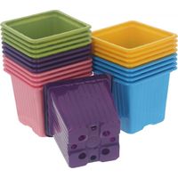 FILET de 20 POTS CARRES 8cm - 5 couleurs - ROMBERG