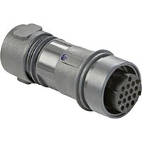 Bulgin PXP6011 Conector DIN Recto Industrial de 8 Pines