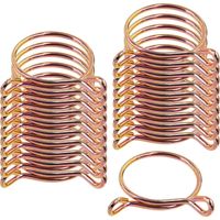 200 Pcs Collier Serrage Durite Conduite de carburant Pince Essence Serre-Joints Tuyauterie de serrage Attaches pour Automobiles, Vélos et Motos