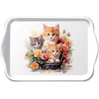 Mini plateau rectangulaire en mélamine chatons dans un panier