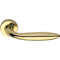 Maniglia con rosetta oro zirconio in lega new soft porta interna - Salone