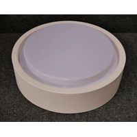 Hublot exterieur LED 16W blanc Ø 320x84.5mm diffuseur opale 4000K 1292lm 230V non-dimmable IP65 PERFORMANCE IN LIGHTING