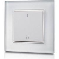 Meccanismo di controllo a pulsante monocolore dimmer RF