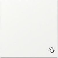 GIRA 328527 INTERRUPTEUR À BASCULE AVEC SYMBOLE LIGHT STANDARD 55 BLANC PUR/BRILLANT