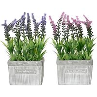 VASO CON LAVANDA 13X7XH24CM IN PLASTICA 2COL ASS.