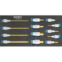Hazet Werkzeugmodul 163-220/13 13-teilig 163-220/13