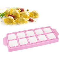 Moules à , Moules a Chaussons en Plastique pour carrés, pour pates Moule et Pate Pression (Rose, 26.5 10.5 2cm),