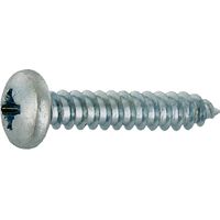 Vis Tôle Tc Pozi Acier 2,9x13 Sachet 36 Piezas - Vynex