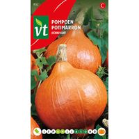Potimarron Uchiki Kuri - Ca. 3 gr (Livraison Gratuite)