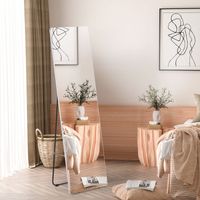 Ganzkörperspiegel/Standspiegel 45x160 cm, Garderoben- & Ankleidespiegel für Schlafzimmer & Wohnzimmer, Silber