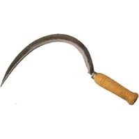 SICHEL AUS EICHEL 2550 – ZÄHNE 2
