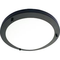 Forum Spa Delphi Matt Black 310mm Large 2 x E14 Flush Ceiling Light - SPA-34050-SBLK
