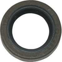 O-ring wellendichtring BRIGGS et STRATTON 391483S - 291841