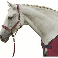 poney, Noir 9100: Linge de lit pour chevaux modèle Soft and padded Stars