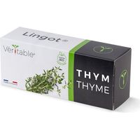 Recharge Véritable Lingot® Thym BIO