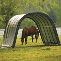 ShelterLogic Weidezelt "Run-In-Shed" Weideunterstand, 610 x 370 x 250 cm grün 22,57 m²
