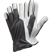 Glove usa e getta 115. pelle di capra. Gr.9 Tegera (di 12)