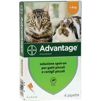Pesticide "Avantage" pour chats et lapins jusqu'à 4 kg - en pack. de 4 pipettes SPOT-ON