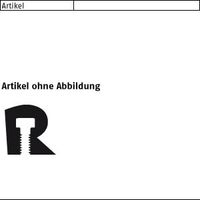 Reyher ART 88132 NORD-LOCK-Scheiben geklebt 1.4547 (254 SMO) NL 12 SS (200)