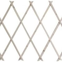 Estensible Translation In Natural Legno Chiaro Piante Rampicanti Giardino 200x100cm 222734