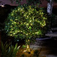 Guirlande d'extérieur LUCIOLE 200 leds blanc chaud SMART GARDEN