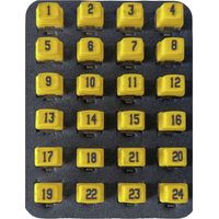 Remote Identifier 226581 Softing PDRK224 réseau Q058853