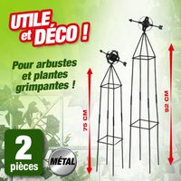 2 Tuteurs pour plante décoratifs