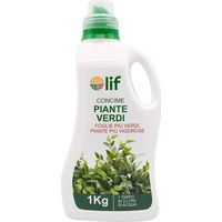 CONCIME LIQUIDO 'PIANTE VERDI' Kg.1