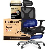 FlexiSpot ErgoX Chaise de Bureau Ergonomique avec Repose-pieds en Maille, Noir