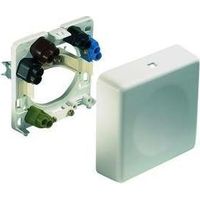 Steckdose abl-sursum sursum 2505210 16 Amp Einbau Oberfläche