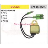 Steuergerät DUCAR Motorpumpe DP 25 40 80 DPT 80 038599
