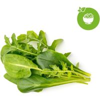 MEZCLA DE ENSALADA VERDE CLICK & GROW 9 TODDINGS CLICK AND GROW
