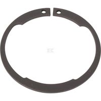Circlip ZF 0630531346
