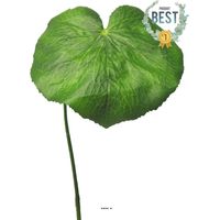 Feuilles de Galax artificielles, en lot de 12, D 20 cm - BEST