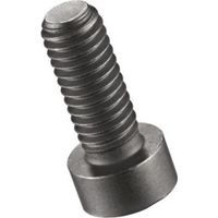 Vis de fixation H860 Gr.N4