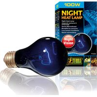 Ampoule chauffante Exo Terra - Ampoule chauffante nocturne