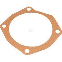 Guarnizione M10100164R MASCHIO M10100164R