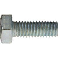 Reidl DIN 933 Sechskantschraube Gewinde bis Kopf M 10 x 80 8.8 galv. verzinkt DiSP