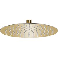 Pomme de douche pluie Acier inoxydable 25 cm Ronde Doré vidaXL