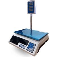 BILANCIA 40 KG 1 GRAMMO CON ASTA PIATTO ACCIAIO 6 DISPLAY RETROILLUMINATI 323b