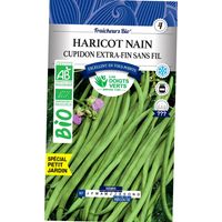 Fagioli nani cupido BIO Le Dita Verdi30g