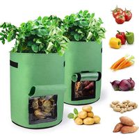 Sac de culture pour pommes de terre, 2 sacs de culture pour pommes de terre, sac de culture non tissé, sac de culture pour légumes de jardin pour pom