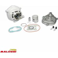 Hochmotor Malossi für Roller Malaguti 50 f12 318559 / Ø40mm neu